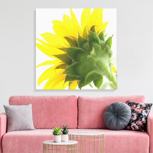 Sunflower Fuzz Canvas Print (Insitu (Woonkamer))