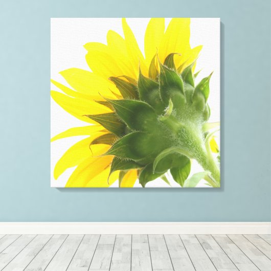 Sunflower Fuzz Canvas Print (Insitu (Houten vloer))