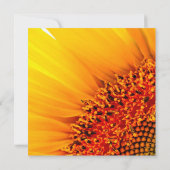Sunflower Garden Kaart (Achterkant)