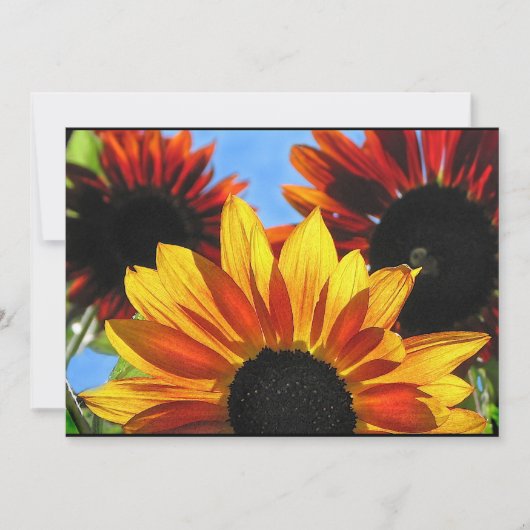 Sunflower Garden Summer Solstice Party Invitation Kaart (Voorkant)