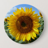 Sunflower Giant Badge Ronde Button 4,0 Cm (Voorkant)