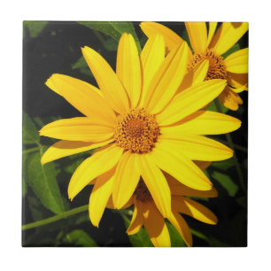 Sunflower Gold Decorative Tile Tegeltje