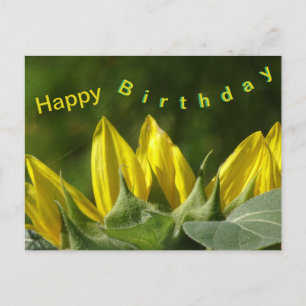 Sunflower Happy Birthday Briefkaart