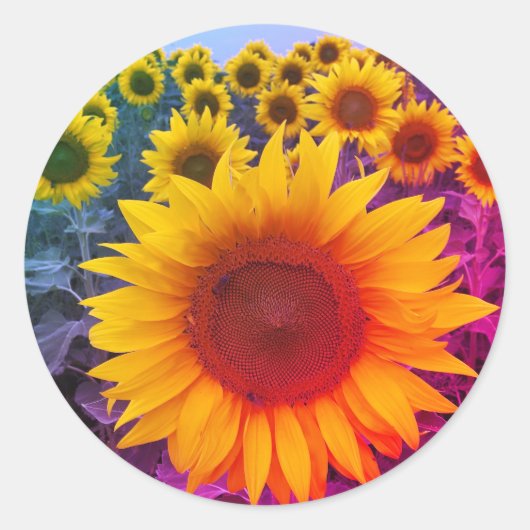 Sunflower Harvest Colorful Rainbow Sticker (Voorkant)