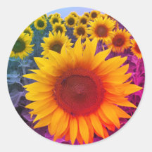 Sunflower Harvest Colorful Rainbow Sticker