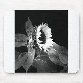 sunflower in black and white muismat