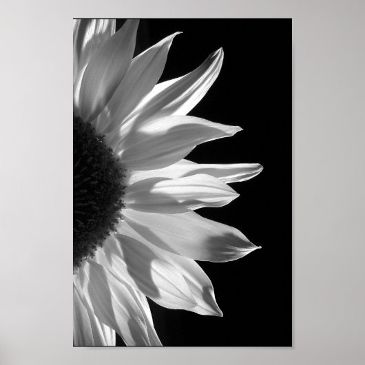 Sunflower in Black & White Poster (Voorkant)
