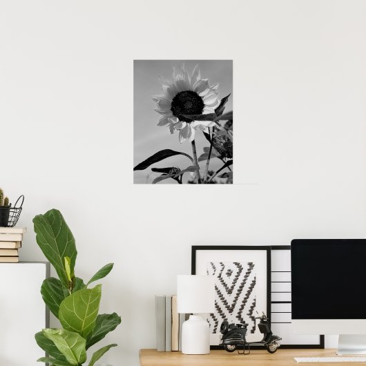 Sunflower in Black & White Poster (Thuiskantoor)