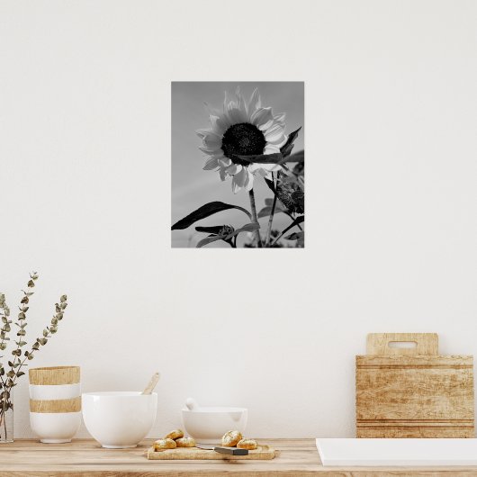 Sunflower in Black & White Poster (Keuken)