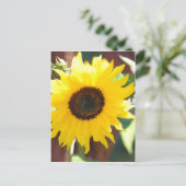 Sunflower in Full Bloom Briefkaart (Staand voorkant)
