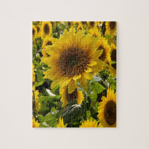 Sunflower Jigzaag Puzzle Legpuzzel