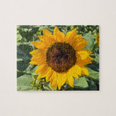 Sunflower Legpuzzel (Horizontaal)