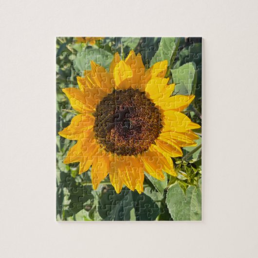 Sunflower Legpuzzel (Verticaal)
