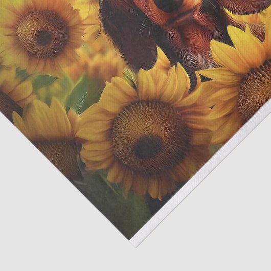 Sunflower Love, Bruin langharige teckel Tissuepapier (Detail)