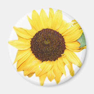 SunFlower Magneet