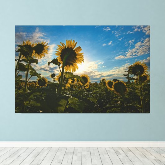 Sunflower Morning Canvas Afdruk (Insitu (Houten vloer))