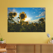 Sunflower Morning Canvas Afdruk (Insitu (Woonkamer))