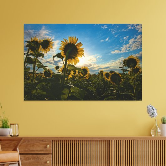 Sunflower Morning Canvas Afdruk (Insitu (Woonkamer))