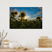 Sunflower Morning Poster (Keuken)