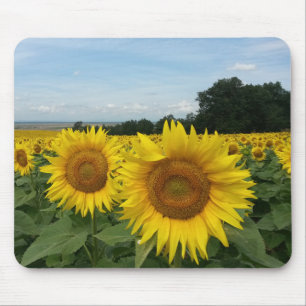Sunflower Mousepad Muismat