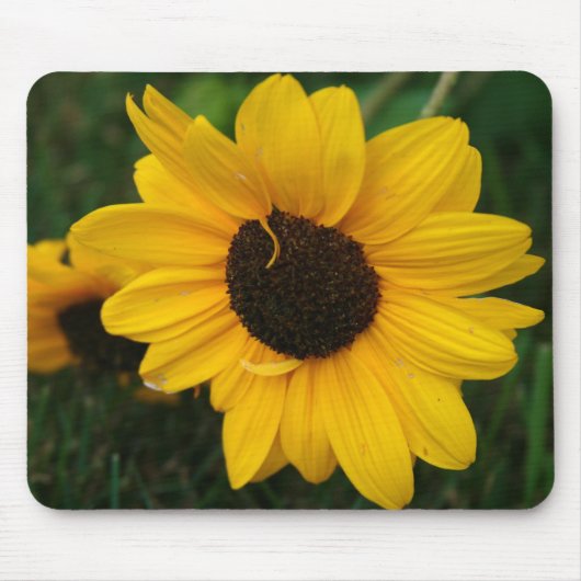 Sunflower Mousepad Muismat (Voorkant)