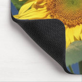 Sunflower Mousepad Muismat (Hoek)