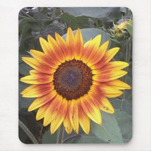 Sunflower Mousepad Muismat (Voorkant)