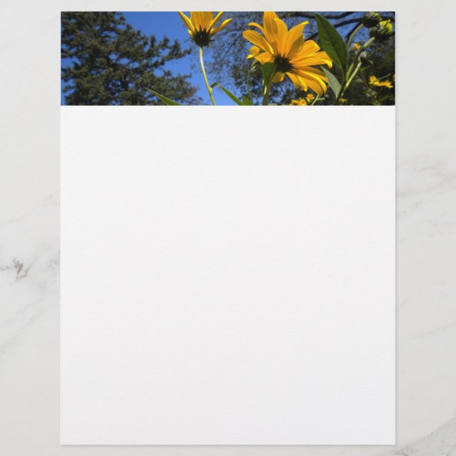 Sunflower N Sky Letterhead (Voorkant)