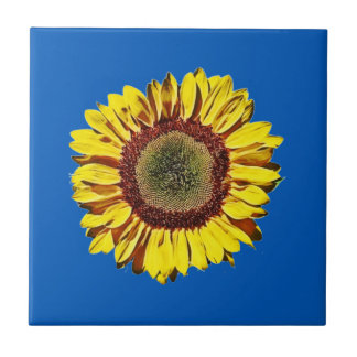 Sunflower Oekraïne National Sybol Blue Background Tegeltje
