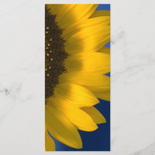 Sunflower on Blue Wedding Programme Programmakaart (Voorkant)