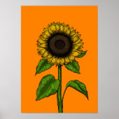 Sunflower on orange poster (Voorkant)