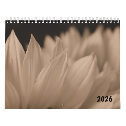 Sunflower Petals in Sepia Tone Kalender (Hoes)