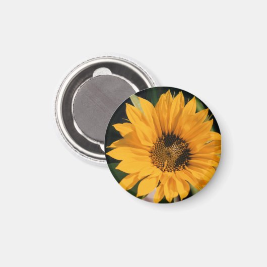 Sunflower Photo Magnet (Voorkant / Achterkant)