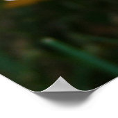 Sunflower Poster (Hoek)