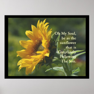 SunFlower-Poster Poster