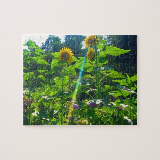 Sunflower Power Puzzle Legpuzzel (Horizontaal)