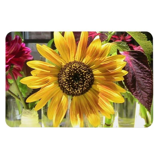 Sunflower Premium Flexi Magnet Magneet (Horizontaal)