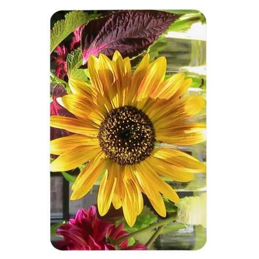Sunflower Premium Flexi Magnet Magneet (Verticaal)