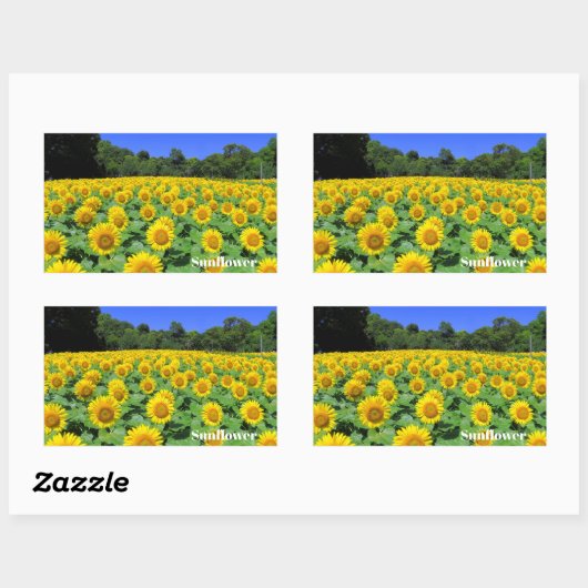 Sunflower：Rectangle Seal Rechthoekige Sticker (Vel)