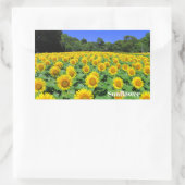 Sunflower：Rectangle Seal Rechthoekige Sticker (Tas)
