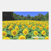 Sunflower：Rectangle Seal Rechthoekige Sticker (Voorkant)