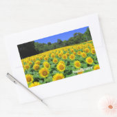 Sunflower：Rectangle Seal Rechthoekige Sticker (Envelop)