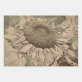 Sunflower Sepia Tone Brown Art Texture Decoupage Inpakpapier Vel (Voorkant 3)
