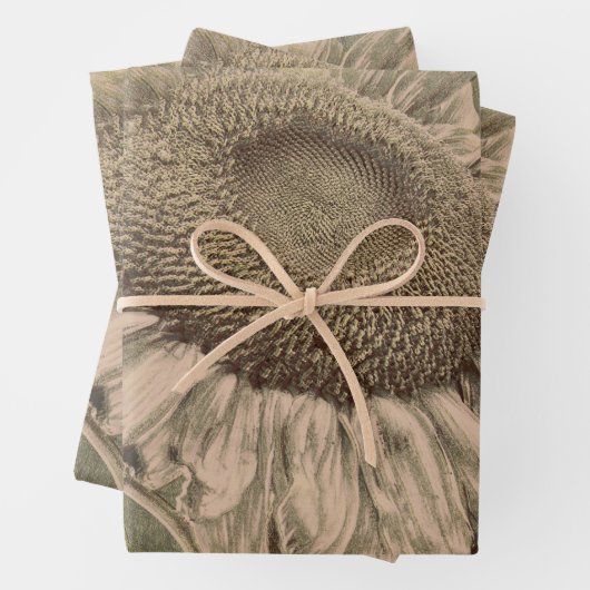 Sunflower Sepia Tone Brown Art Texture Decoupage Inpakpapier Vel (In situ)