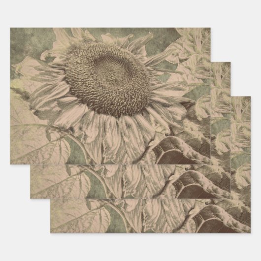 Sunflower Sepia Tone Brown Art Texture Decoupage Inpakpapier Vel (Set)
