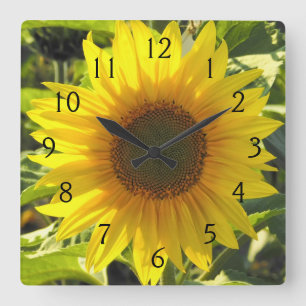 Sunflower Serenade Vierkante Klok