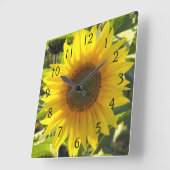 Sunflower Serenade Vierkante Klok (Hoek)