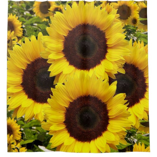 Sunflower Showgordijn Douchegordijn (Voorkant)