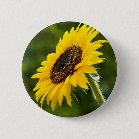 Sunflower Sideshot Ronde Button 5,7 Cm (Voorkant)