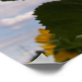 Sunflower Sky Poster (Hoek)
